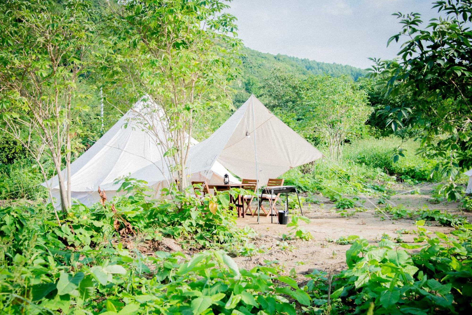 Yoichi Vineyard Glamping Hotel Exterior foto