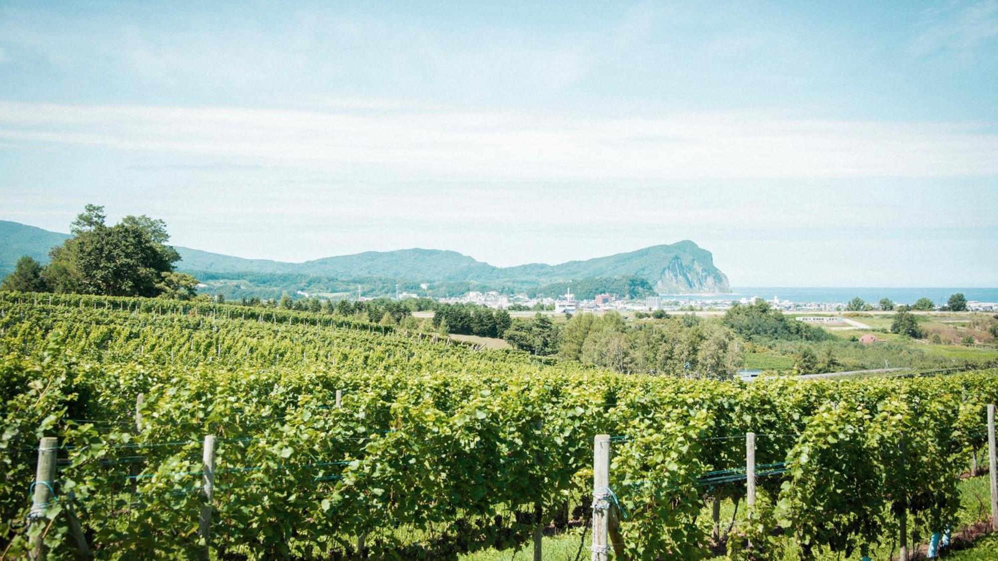 Yoichi Vineyard Glamping Hotel Exterior foto